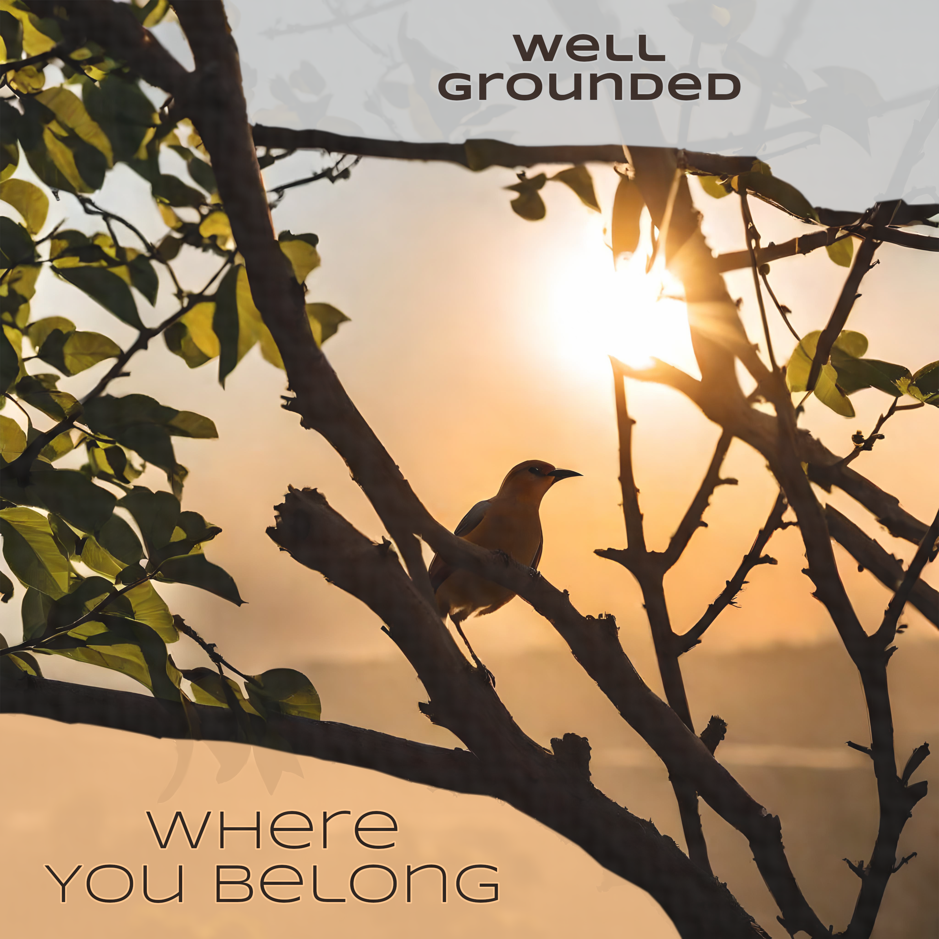 Cover art for 'Where You Belong' by Well Grounded a reggae cover of Little Dragon's 'Where You Belong'.